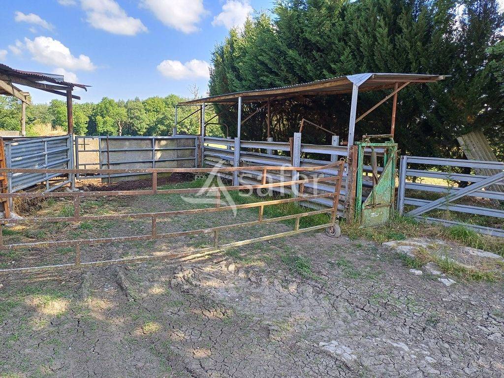 Propri&eacute;t&eacute; d'&eacute;levage tr&egrave;s bien group&eacute;e sur 127,5 ha