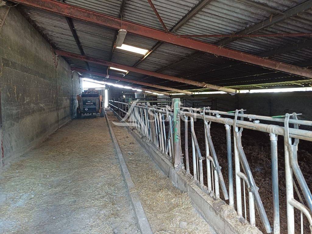 Propri&eacute;t&eacute; d'&eacute;levage tr&egrave;s bien group&eacute;e sur 127,5 ha