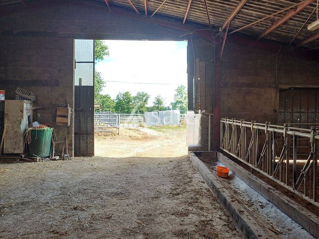 Propri&eacute;t&eacute; d'&eacute;levage tr&egrave;s bien group&eacute;e sur 127,5 ha