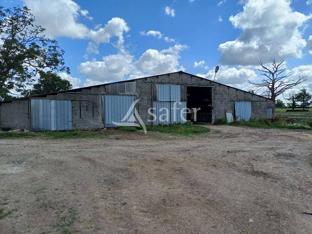 Propri&eacute;t&eacute; d'&eacute;levage tr&egrave;s bien group&eacute;e sur 127,5 ha