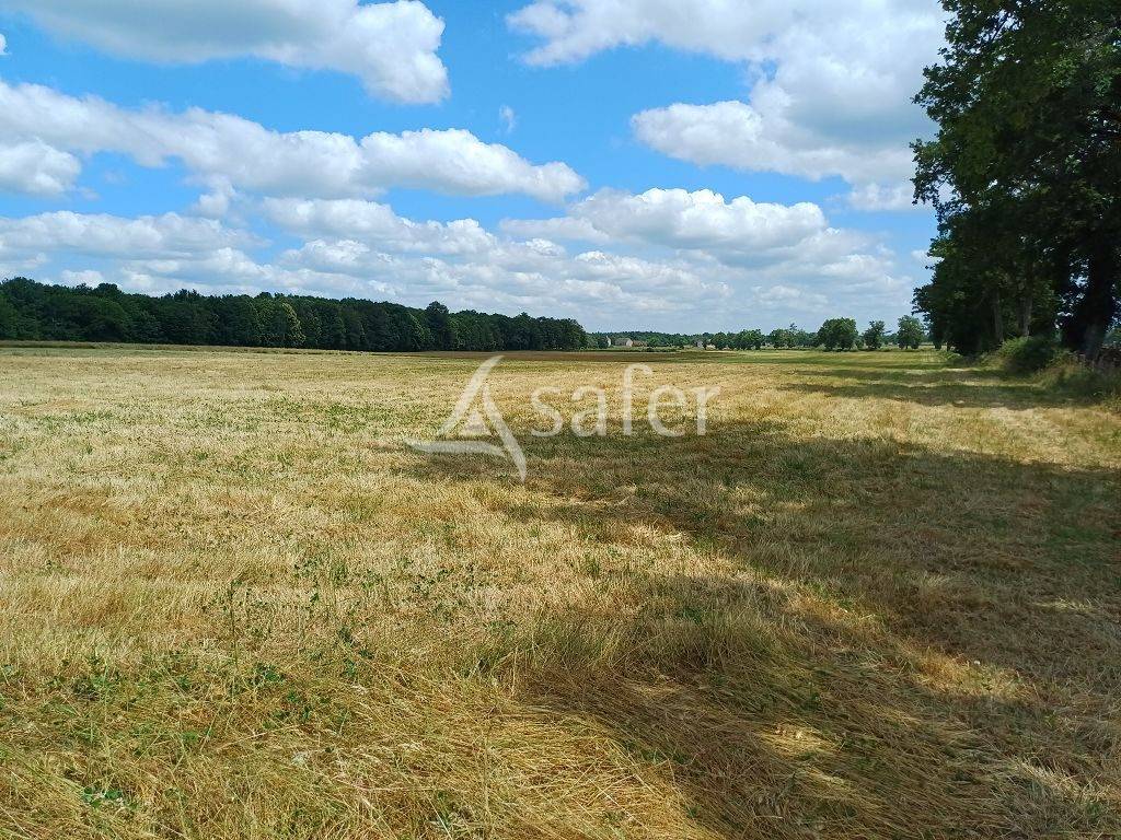 Propri&eacute;t&eacute; d'&eacute;levage tr&egrave;s bien group&eacute;e sur 127,5 ha