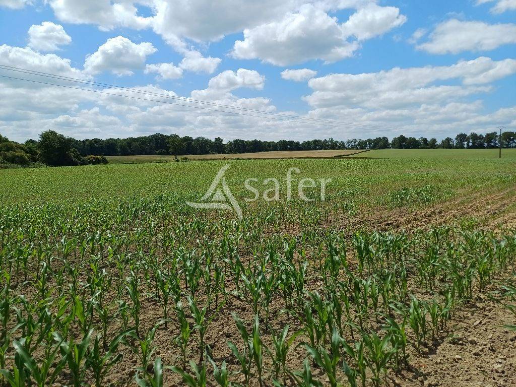 Propri&eacute;t&eacute; d'&eacute;levage tr&egrave;s bien group&eacute;e sur 127,5 ha