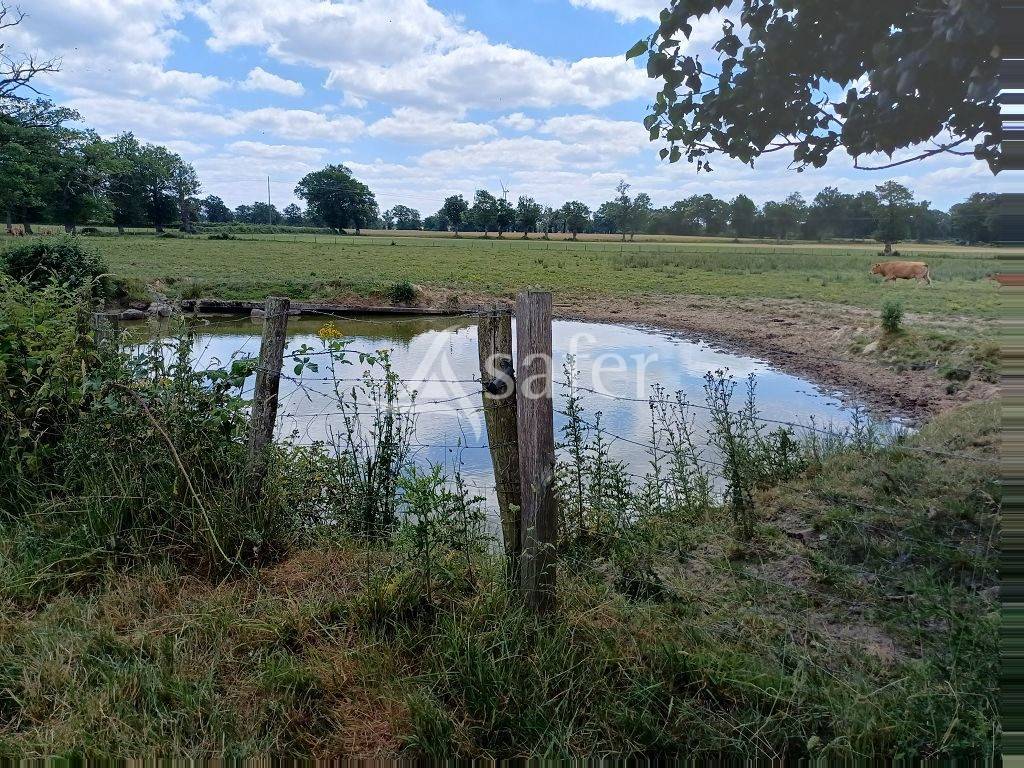 Propri&eacute;t&eacute; d'&eacute;levage tr&egrave;s bien group&eacute;e sur 127,5 ha