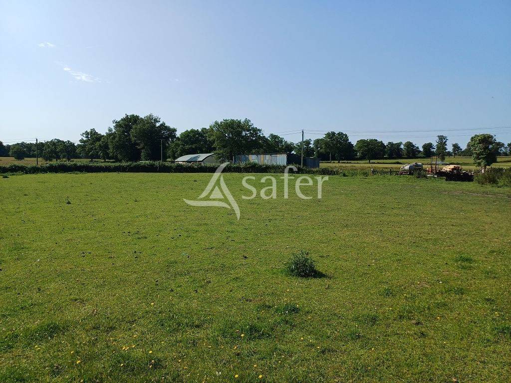 Propriété d'élevage d'environ 94 ha 50 bien groupés