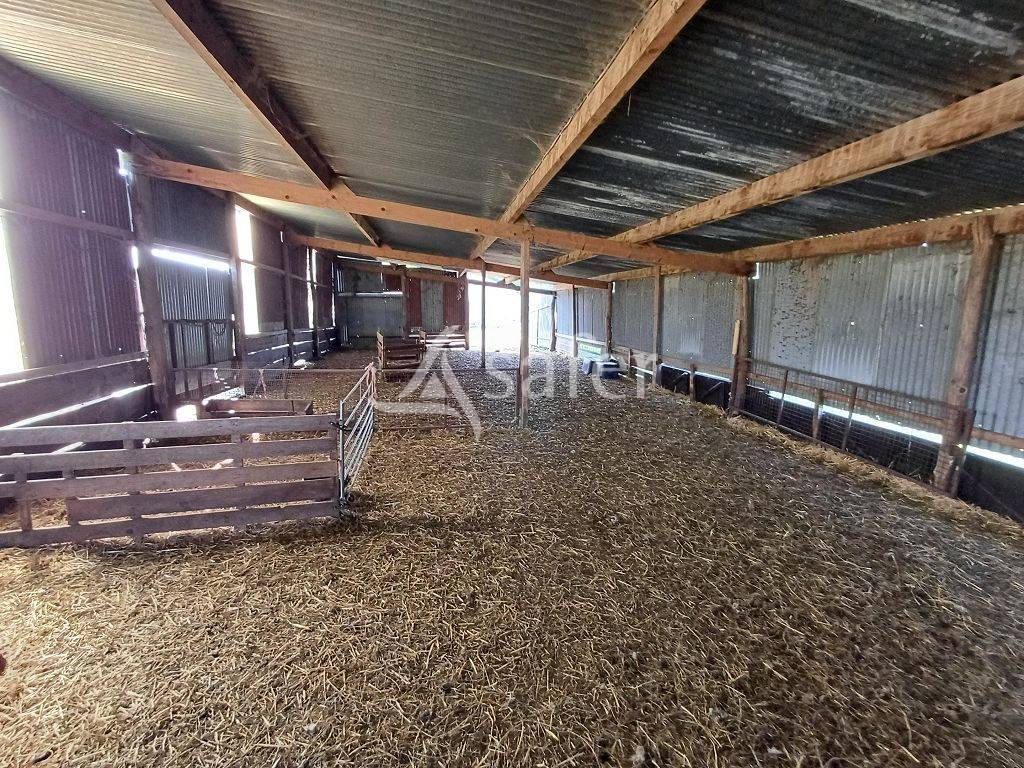 Propriété d'élevage d'environ 94 ha 50 bien groupés