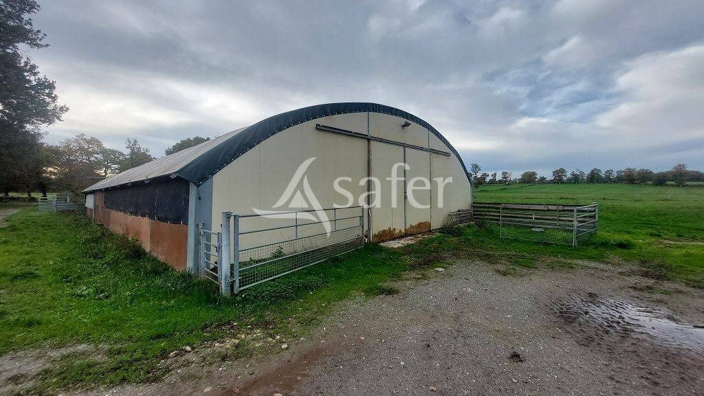 Propriété d'élevage d'environ 94 ha 50 bien groupés