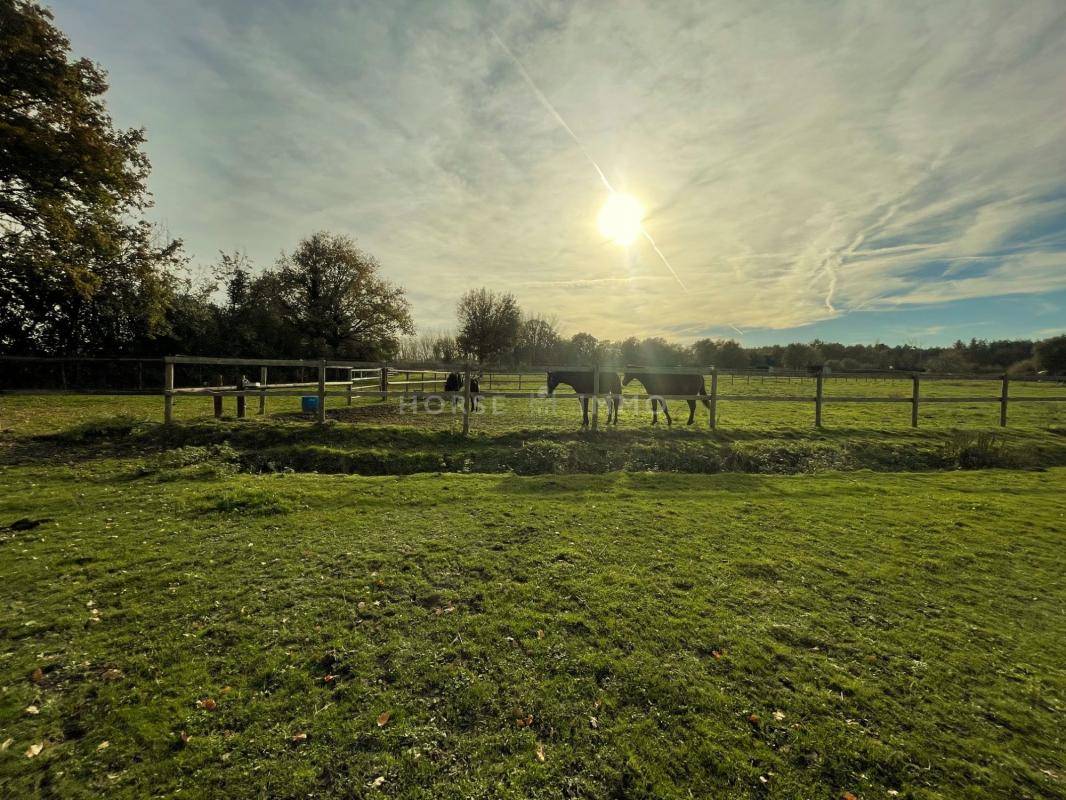 Propri&eacute;t&eacute; Equestre 10 hectares, id&eacute;al Premier Achat