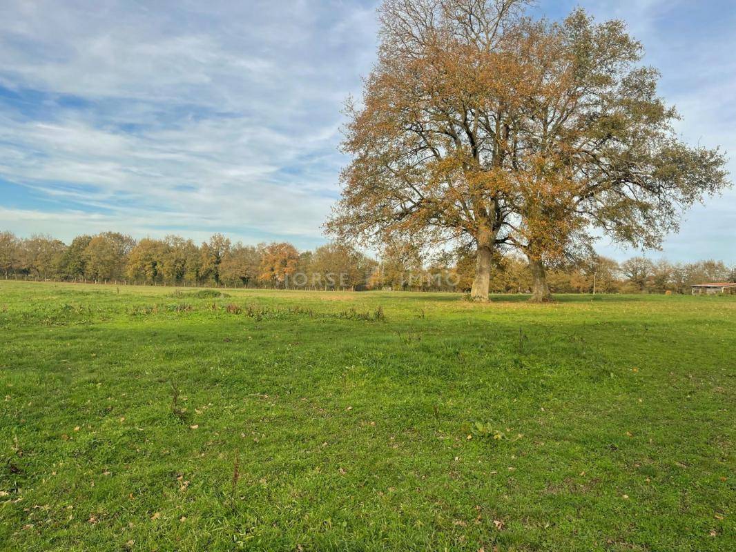 Propri&eacute;t&eacute; Equestre 10 hectares, id&eacute;al Premier Achat