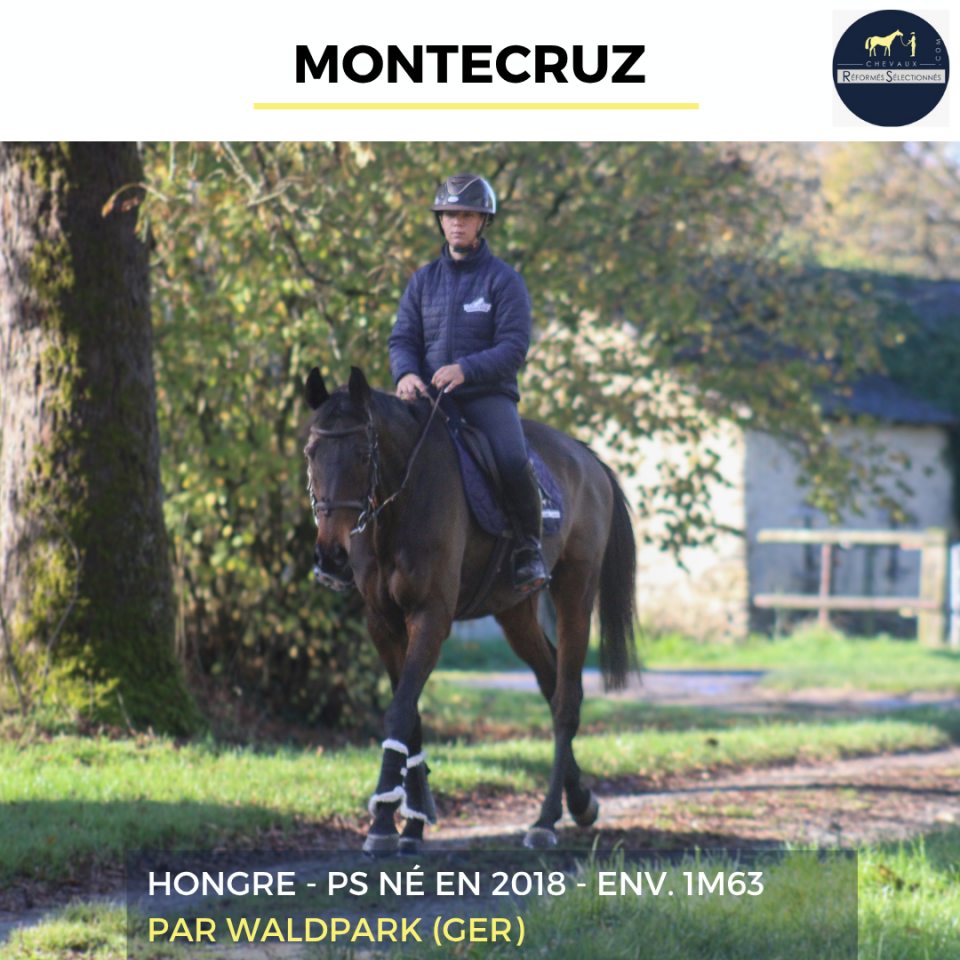 MONTECRUZ - PS - 7 ANS
