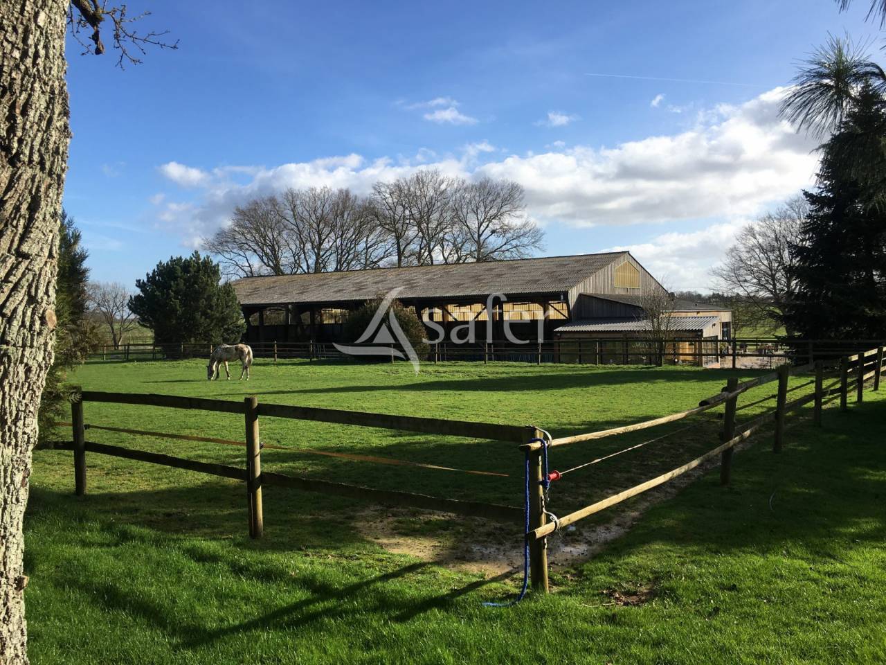 Chevaux de Sport - Haras - Ecuries - Centre Equestre