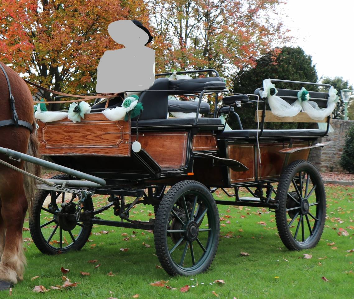 Cal&egrave;che wagonnette 6-8 places