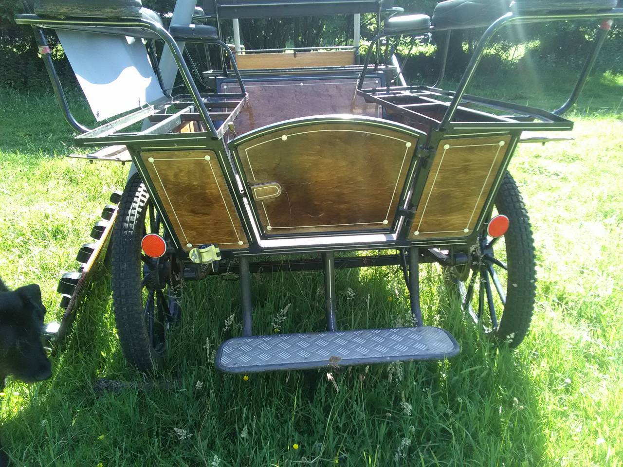 Cal&egrave;che wagonnette 6-8 places