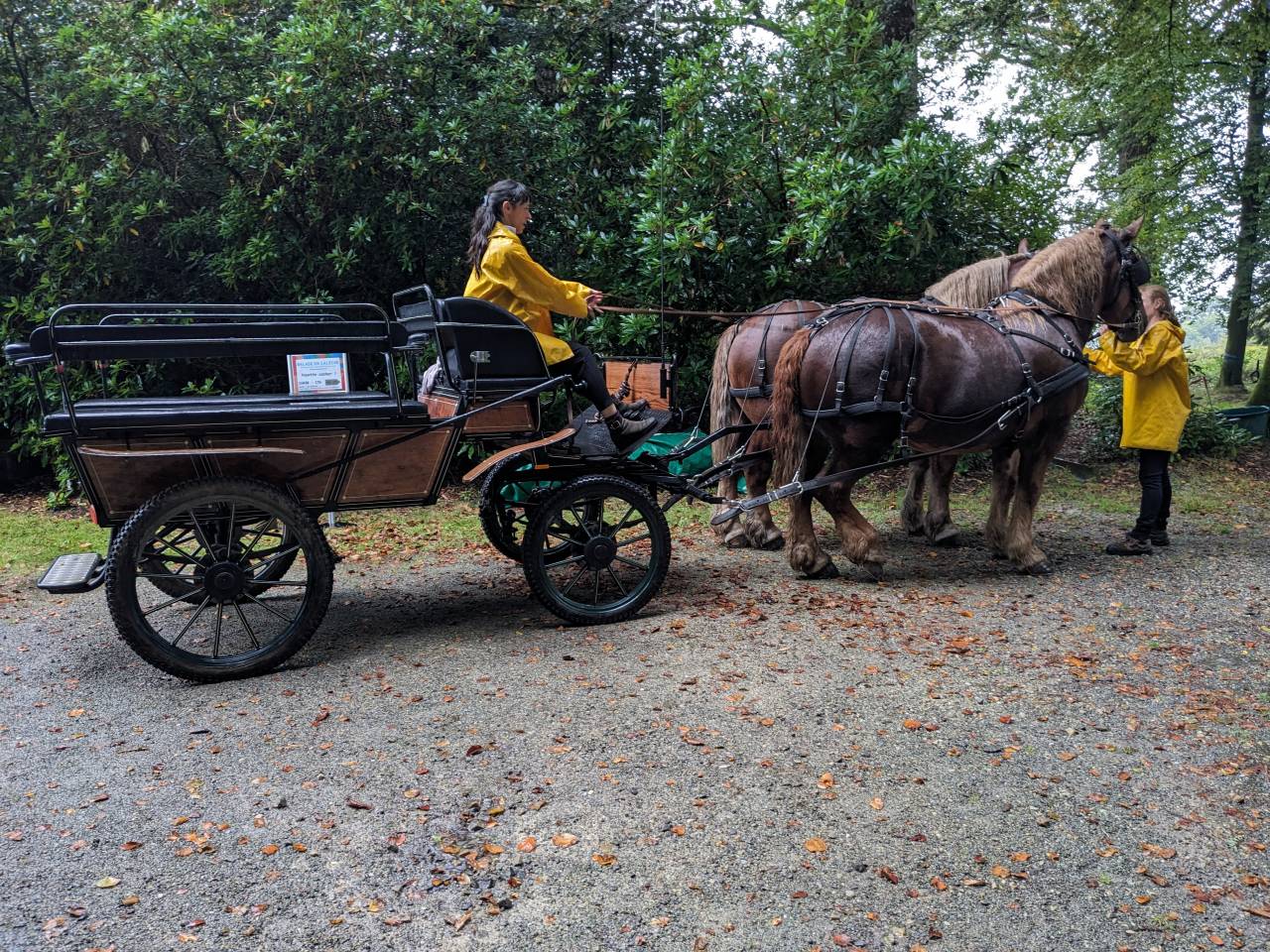 Cal&egrave;che wagonnette 6-8 places