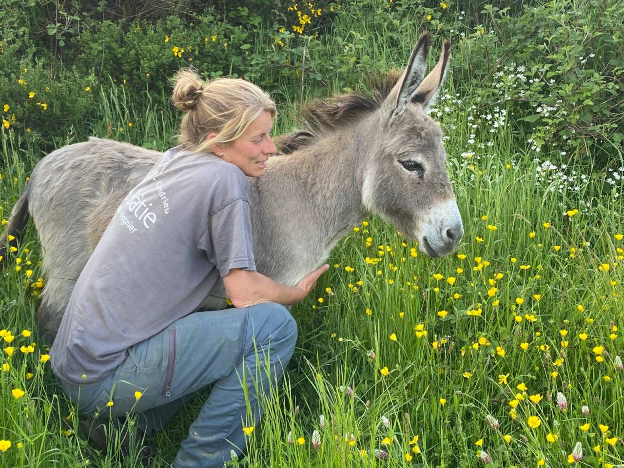 &Acirc;nes Sardes miniatures