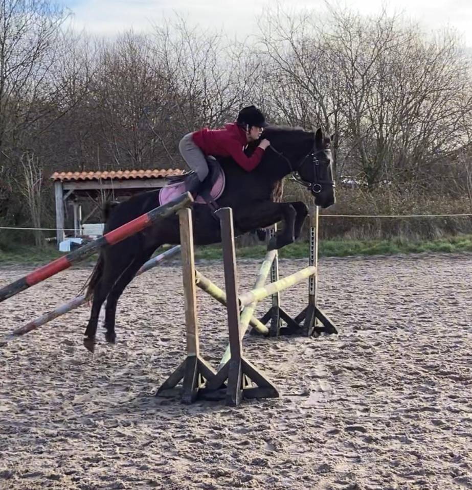 Forest Jump ONC de 2015