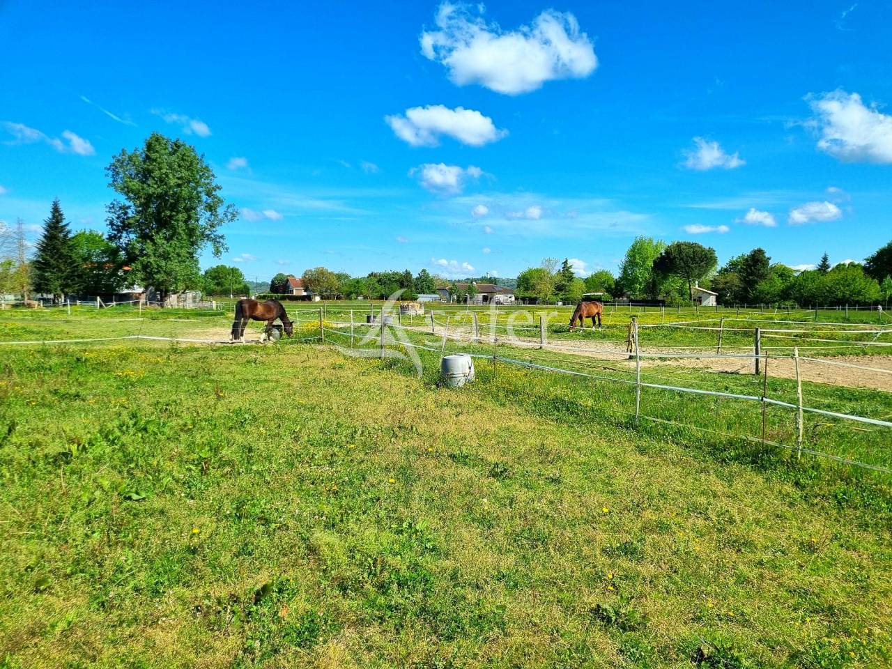 Joli Centre Equestre prêt à reprendre secteur Montauban