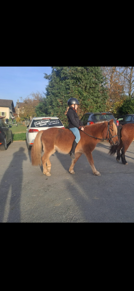 Poney 3 ans 