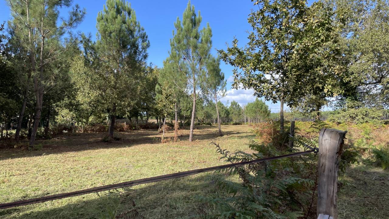 Maison dans la f&ocirc;ret proche oc&eacute;an 4 a 6 cavaliers