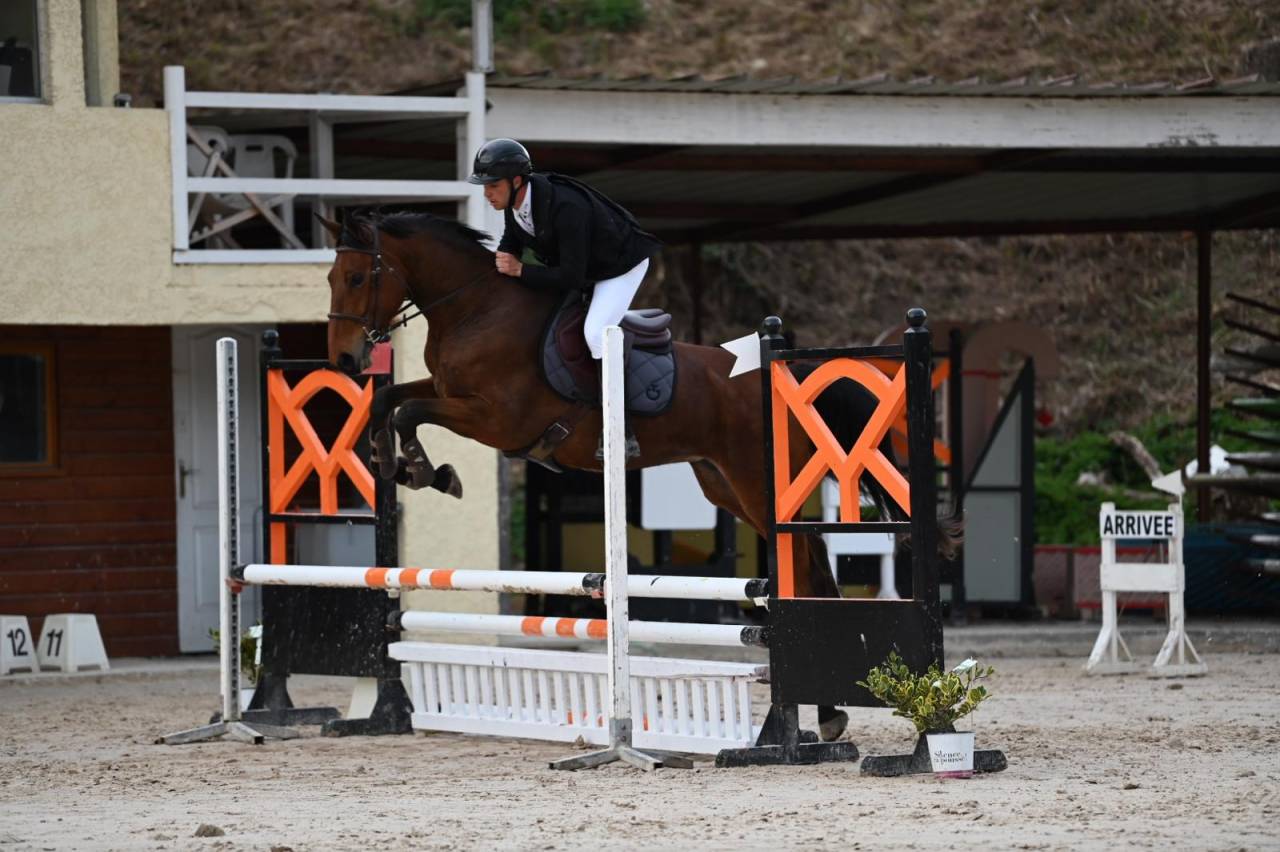 Jument SF CSO/CCE +++