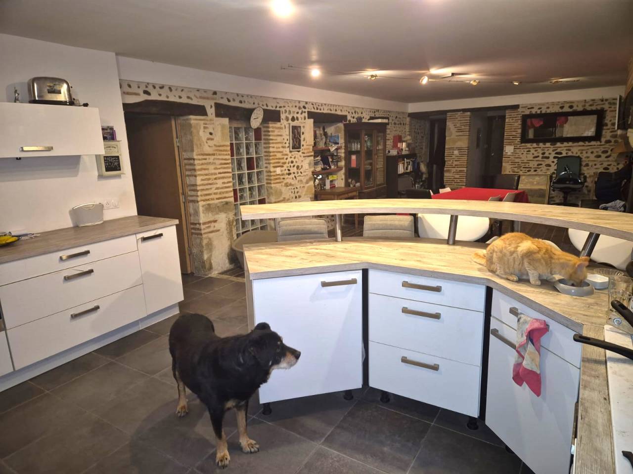 Landes, A vendre propriété équestre avec gites.