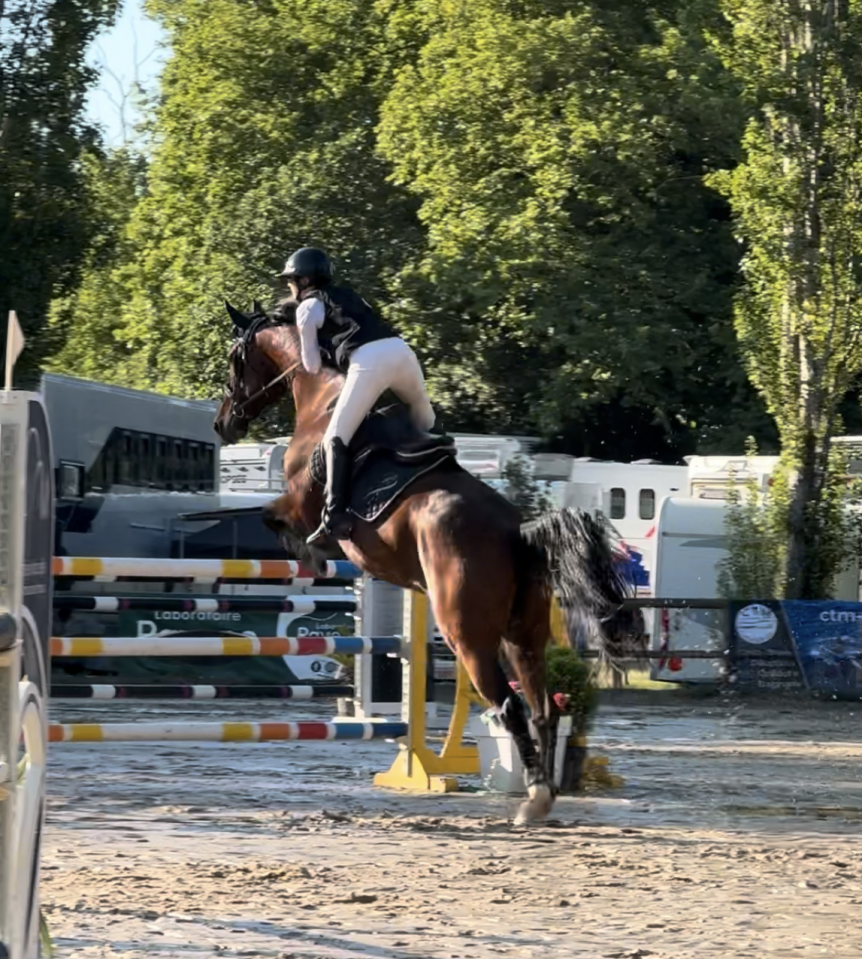 top jument CSO Zangersheide  Amateur Elite et CSI *