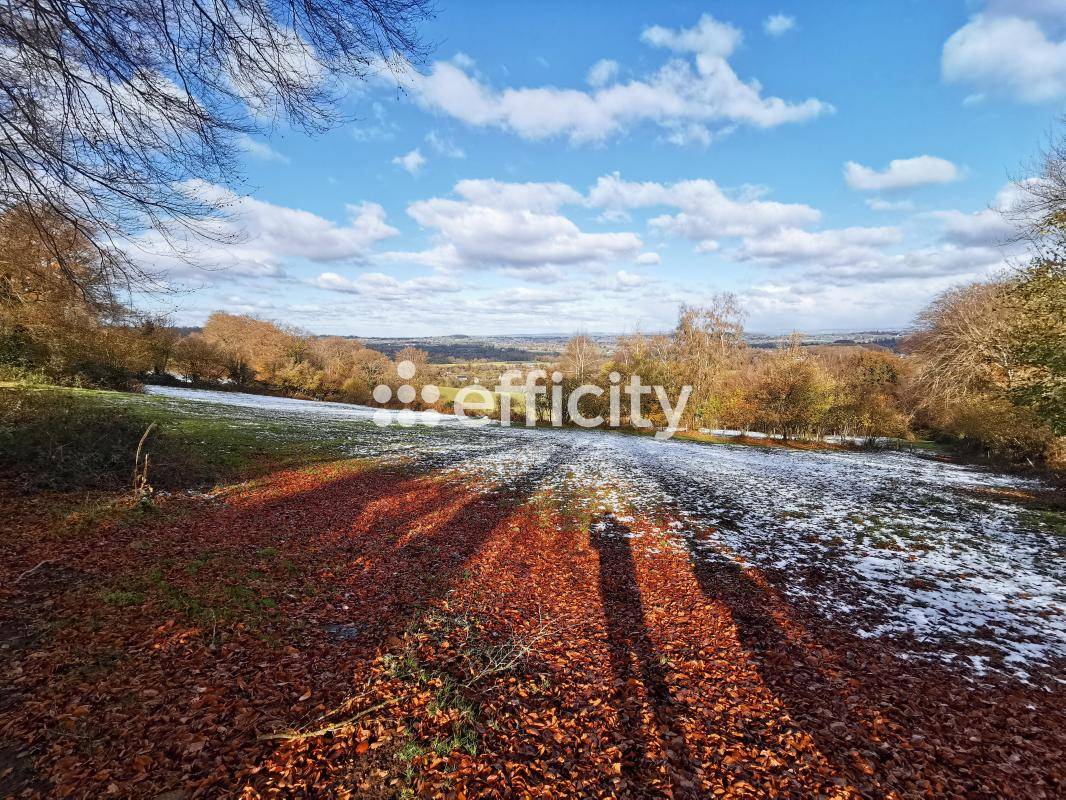 Propriété équestre