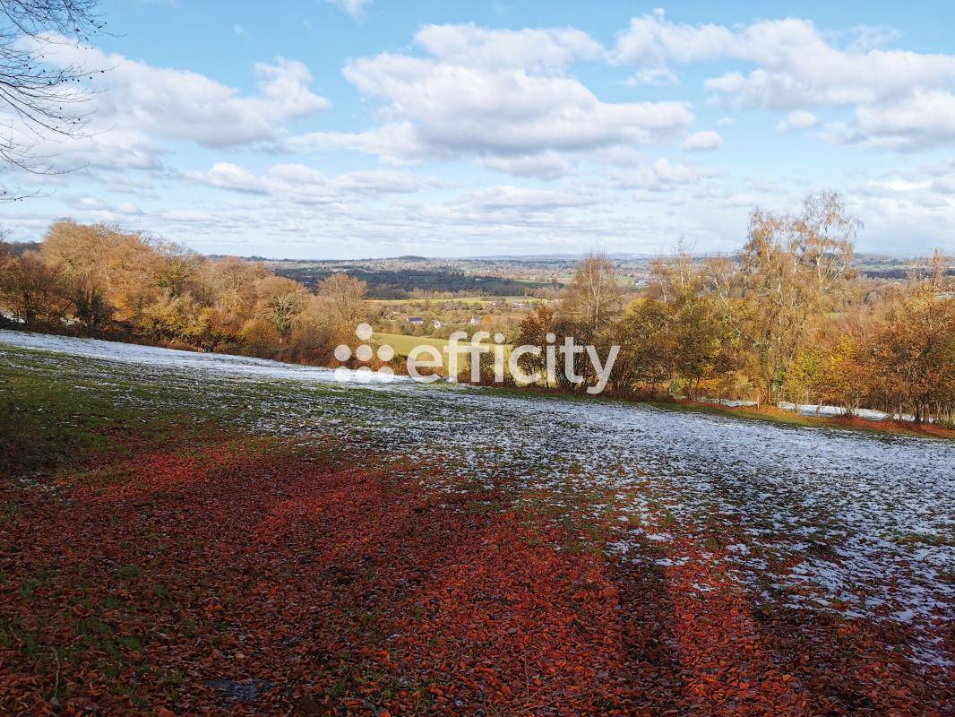 Propriété équestre