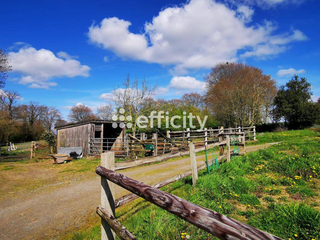 Propri&eacute;t&eacute; &eacute;questre