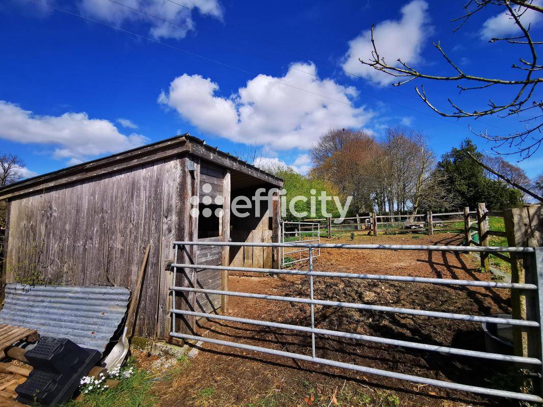 Propri&eacute;t&eacute; &eacute;questre