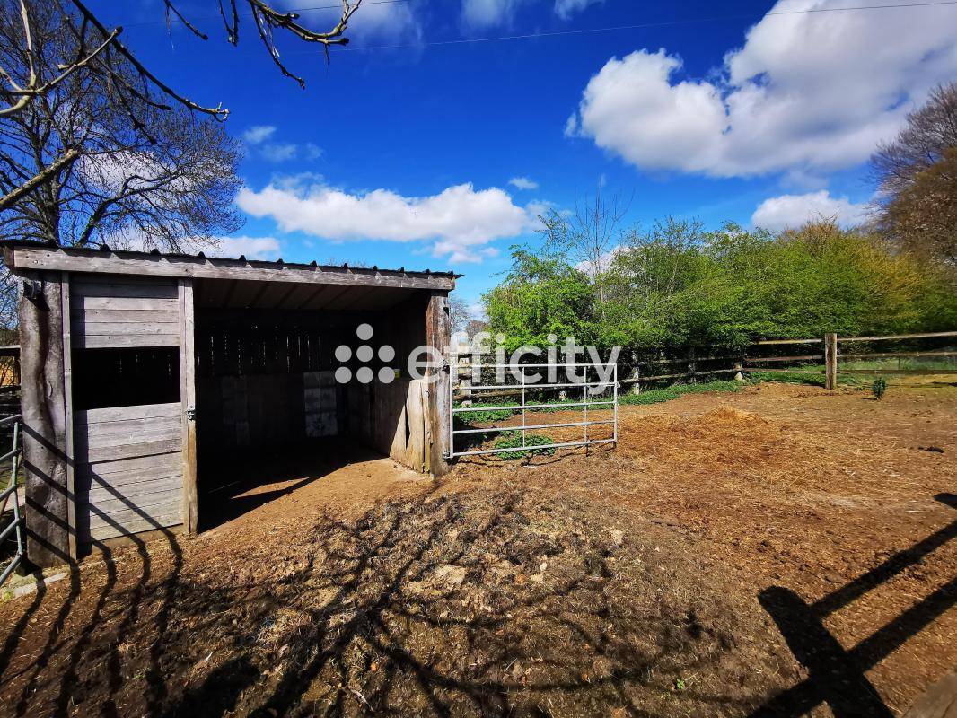 Propri&eacute;t&eacute; &eacute;questre