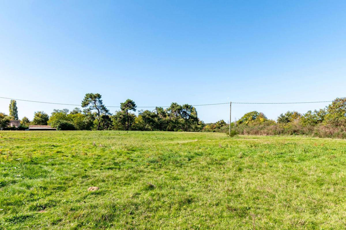 Propriété équestre