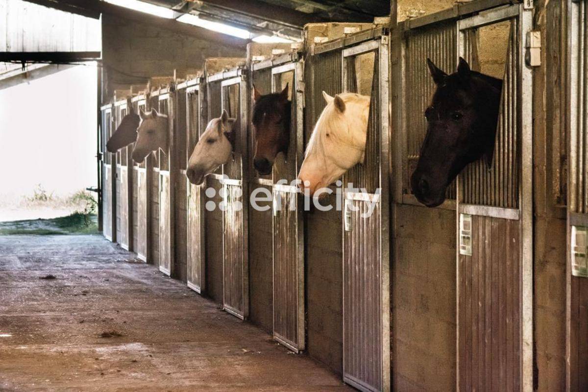 Propri&eacute;t&eacute; &eacute;questre