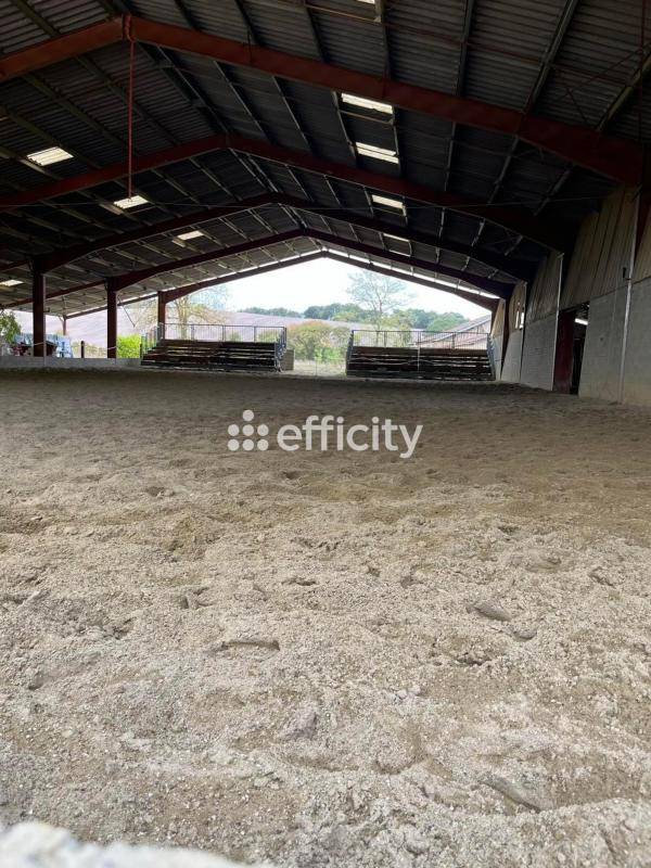 Propri&eacute;t&eacute; &eacute;questre