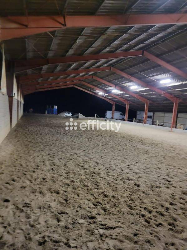 Propri&eacute;t&eacute; &eacute;questre