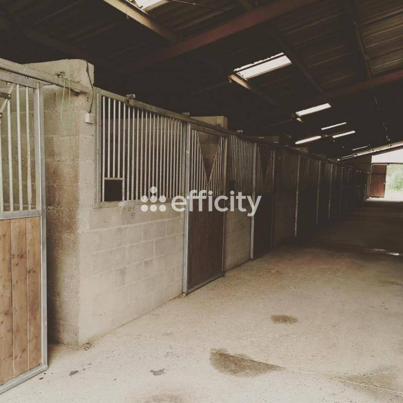 Propri&eacute;t&eacute; &eacute;questre