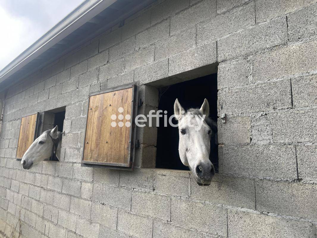 Propri&eacute;t&eacute; &eacute;questre