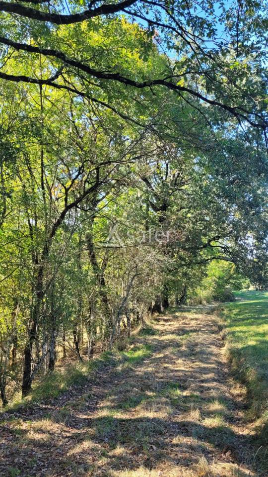 Corps de ferme 18 hectares d'un seul tenant idéal projet éleva
