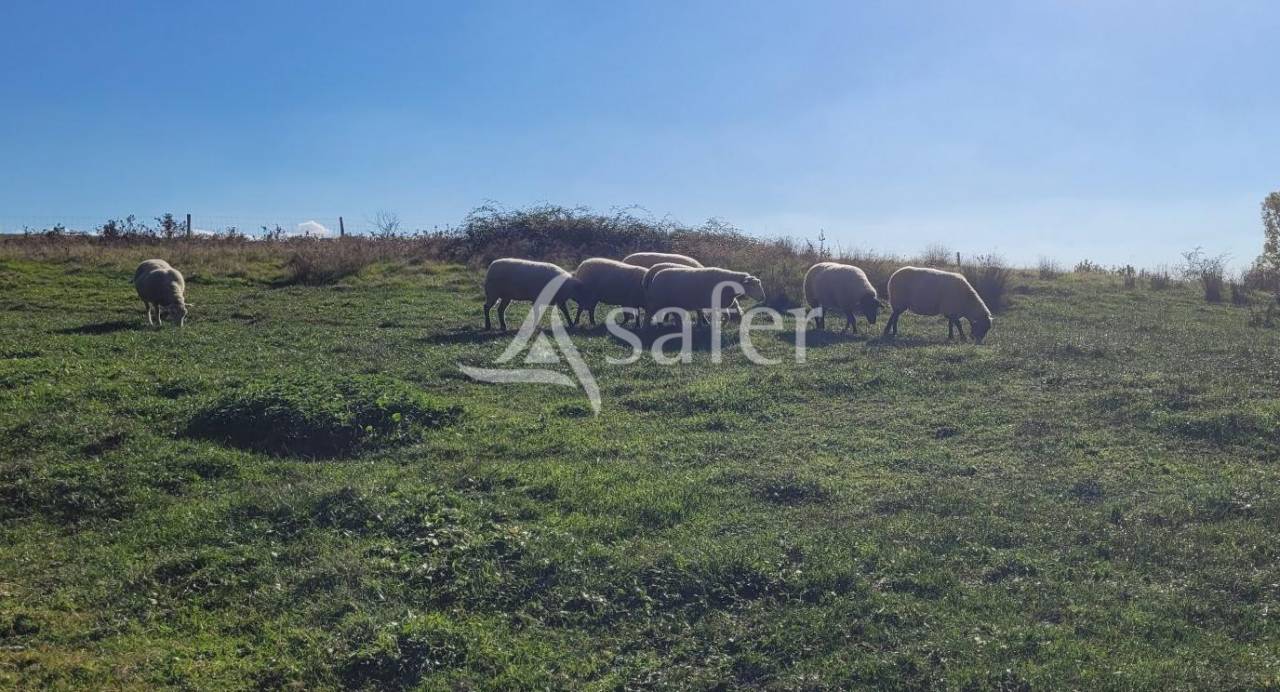 Corps de ferme 18 hectares d'un seul tenant idéal projet éleva