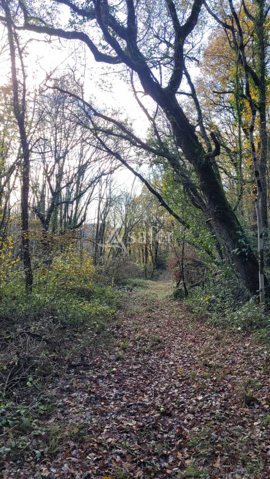 Corps de ferme 18 hectares d'un seul tenant idéal projet éleva