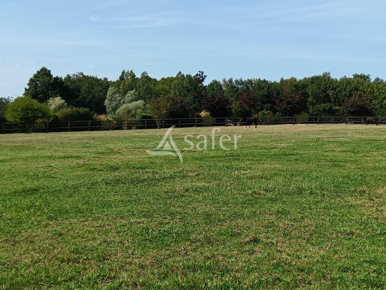 Propri&eacute;t&eacute; Equestre Pays d'Auge