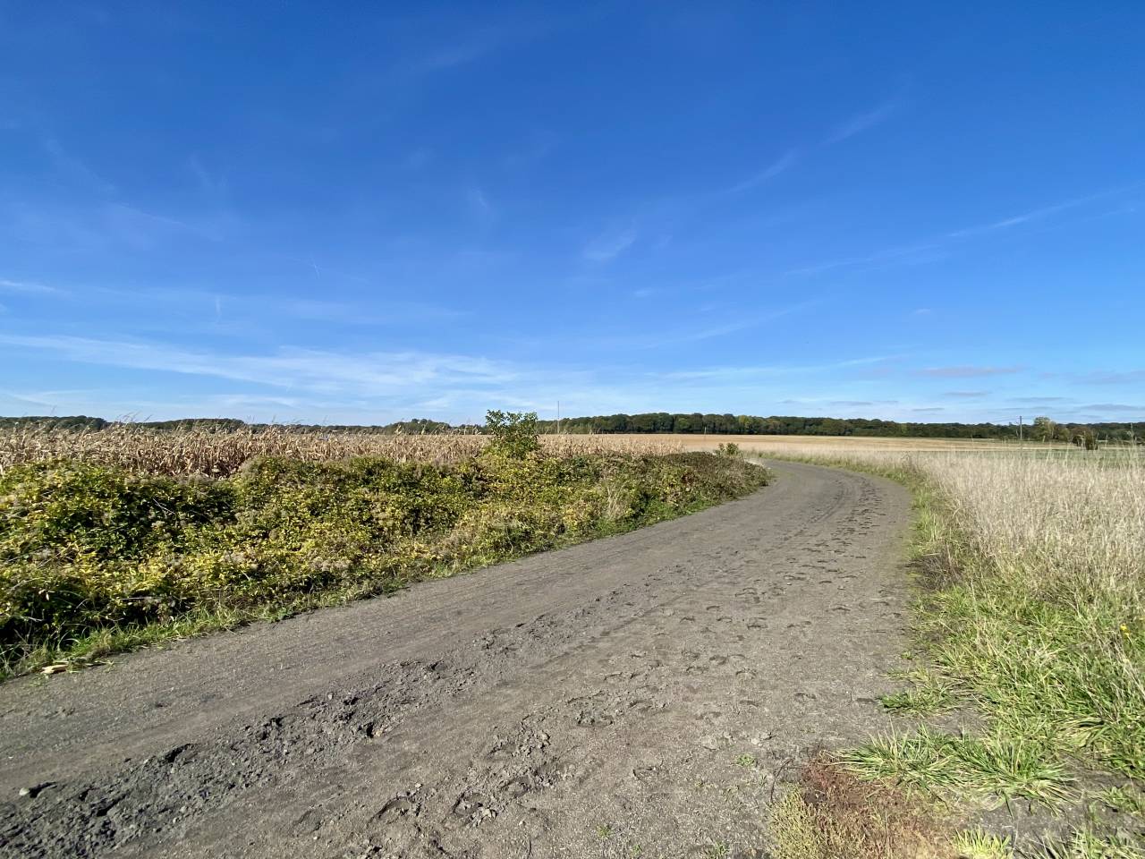 Ecurie - 4,5 hectares - Proche Provins