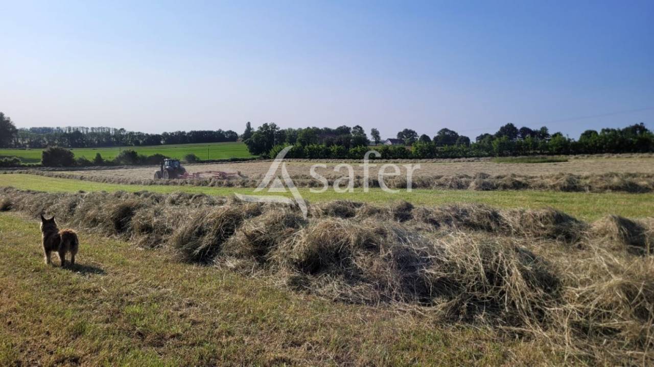 Magnifique propriété sur 15h au nord de Louhans