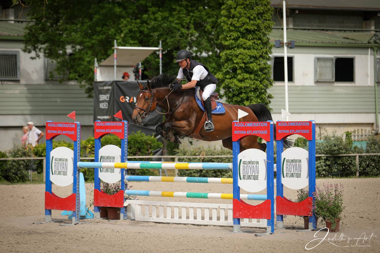 Jument 9 ans SF Originel pour CSO