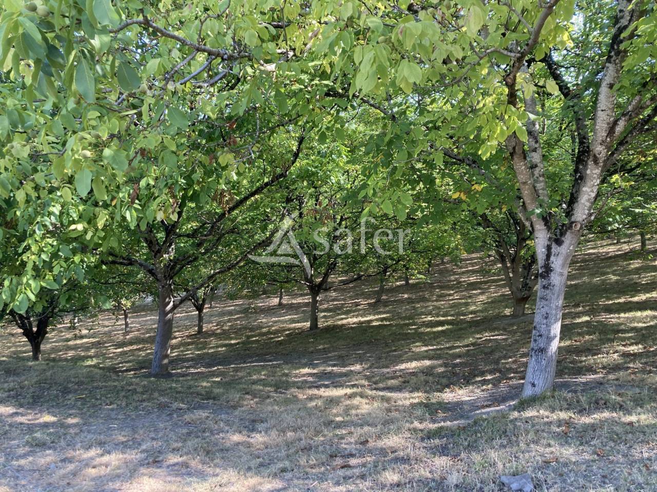 Propriété agricole BIO sur 12ha