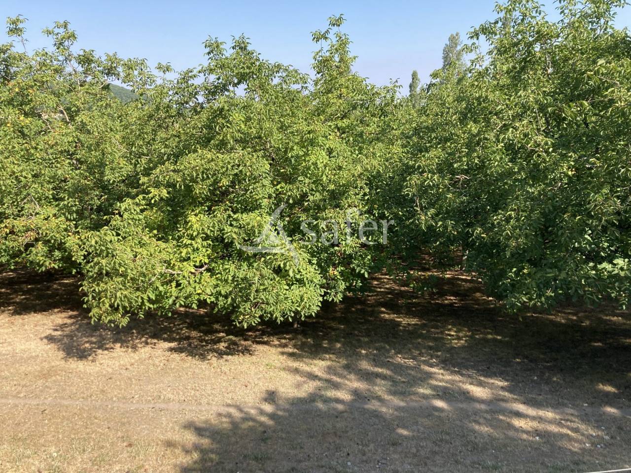 Propriété agricole BIO sur 12ha