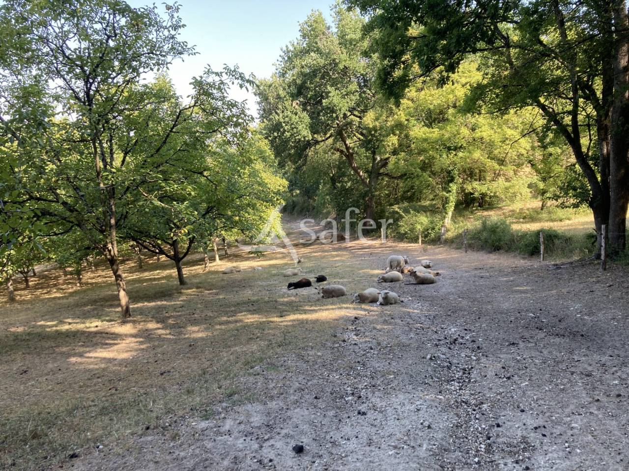 Propriété agricole BIO sur 12ha