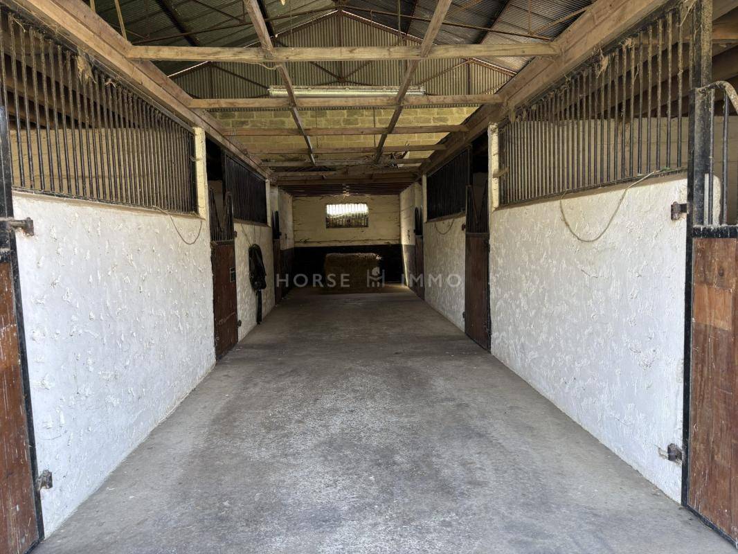 Idéal élevage ou entraînement : domaine équestre 70 ha