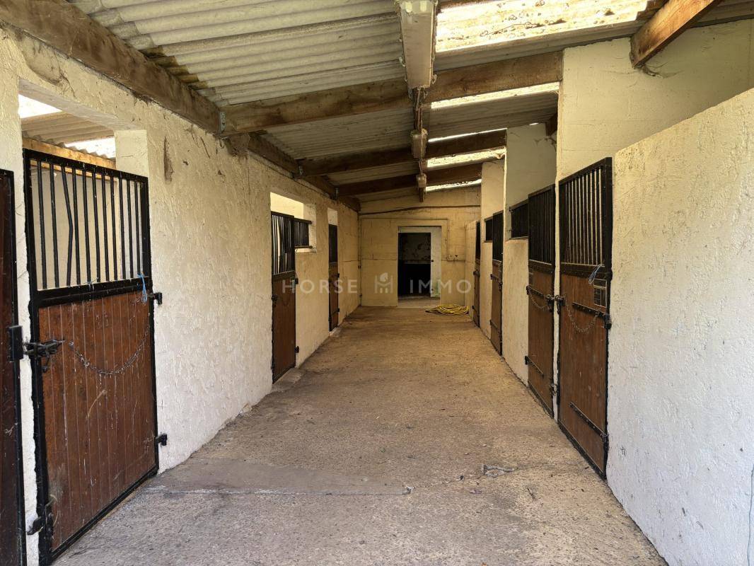 Idéal élevage ou entraînement : domaine équestre 70 ha