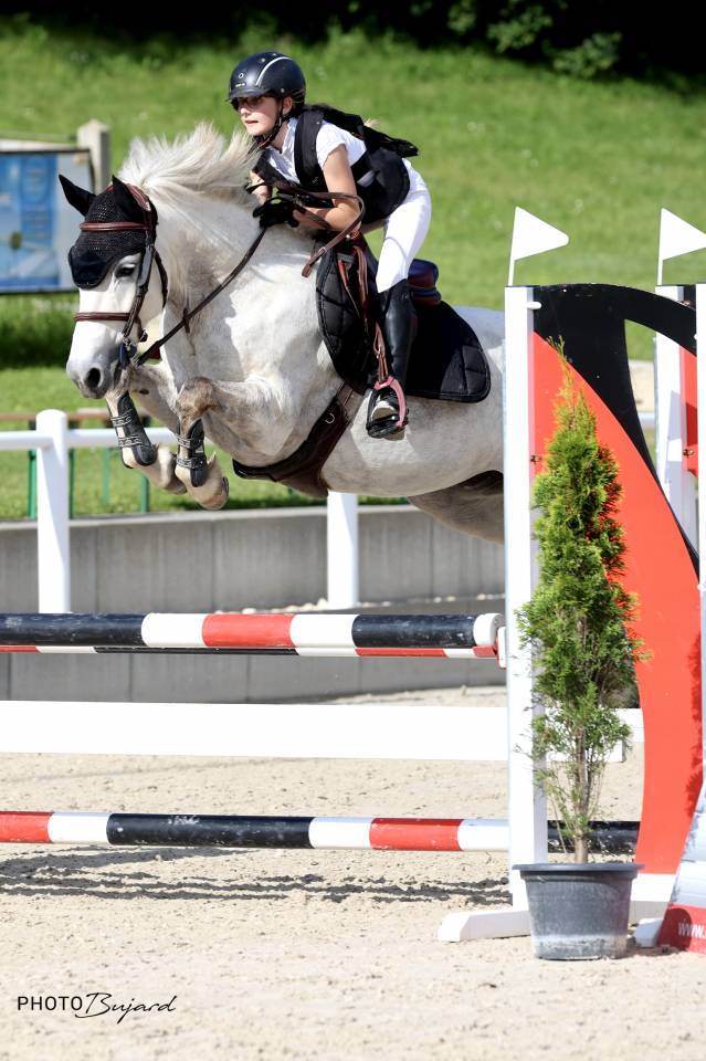 Ponette DSA, née en 2012