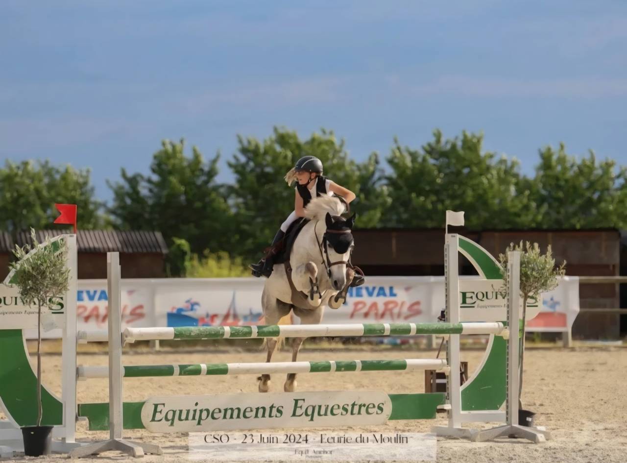 Ponette DSA, née en 2012